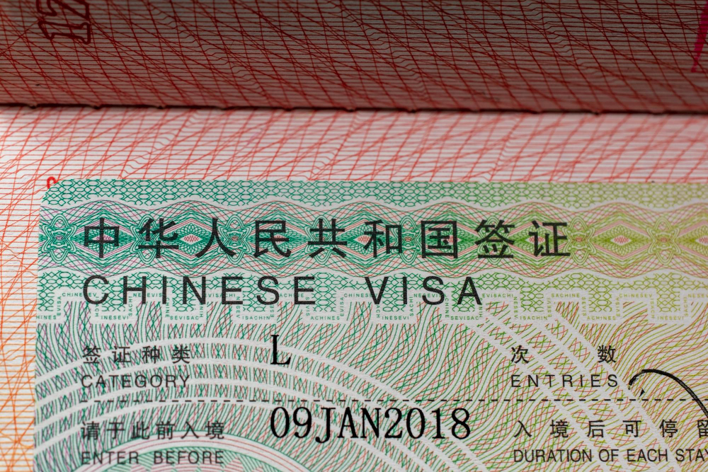Navigating the Chinese Visa Categories: A Comprehensive Guide